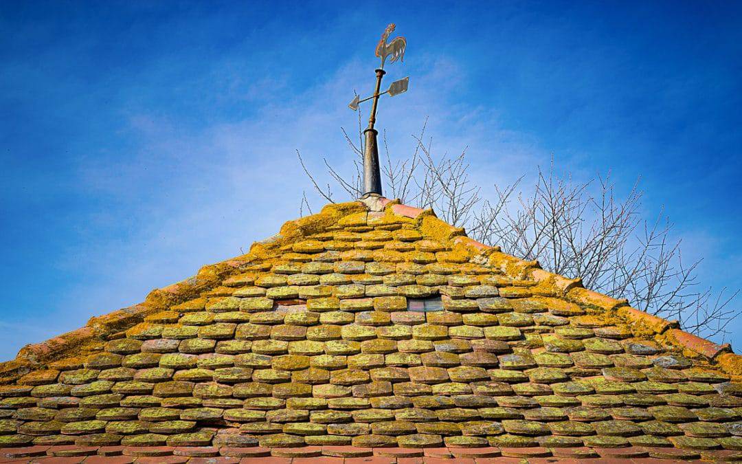 Entretien de votre toit : le démoussage